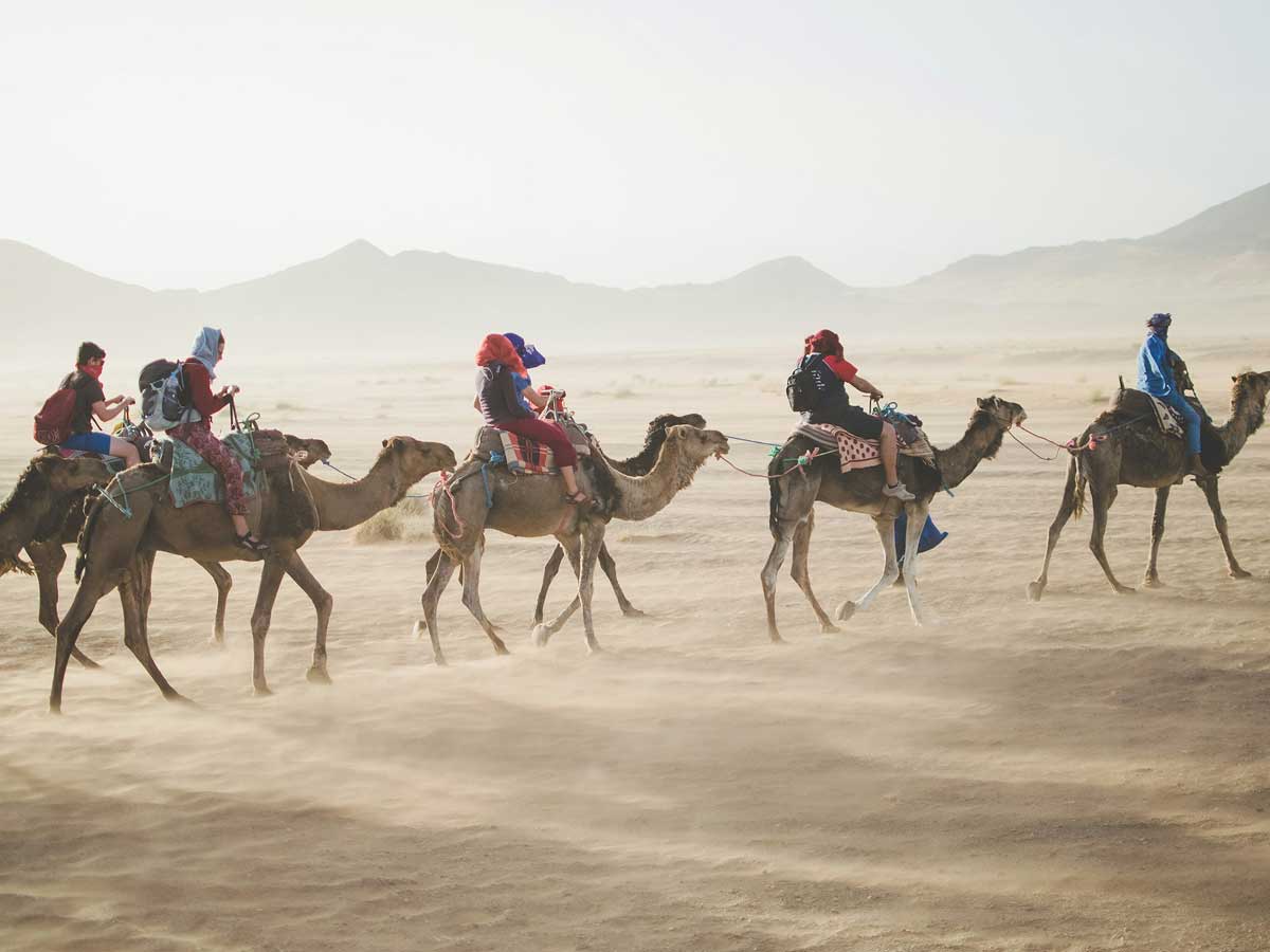 Family Rajasthan Circuit