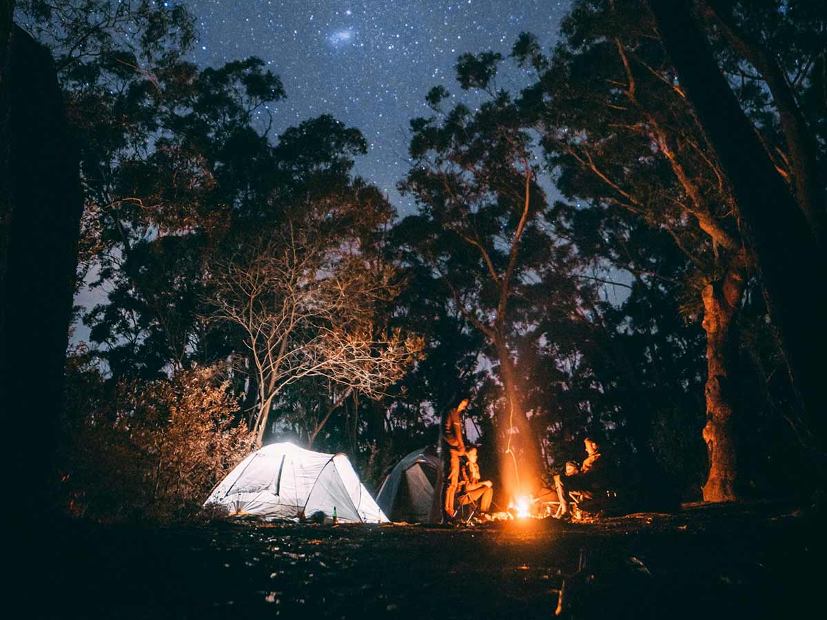 Polo Forest Camp